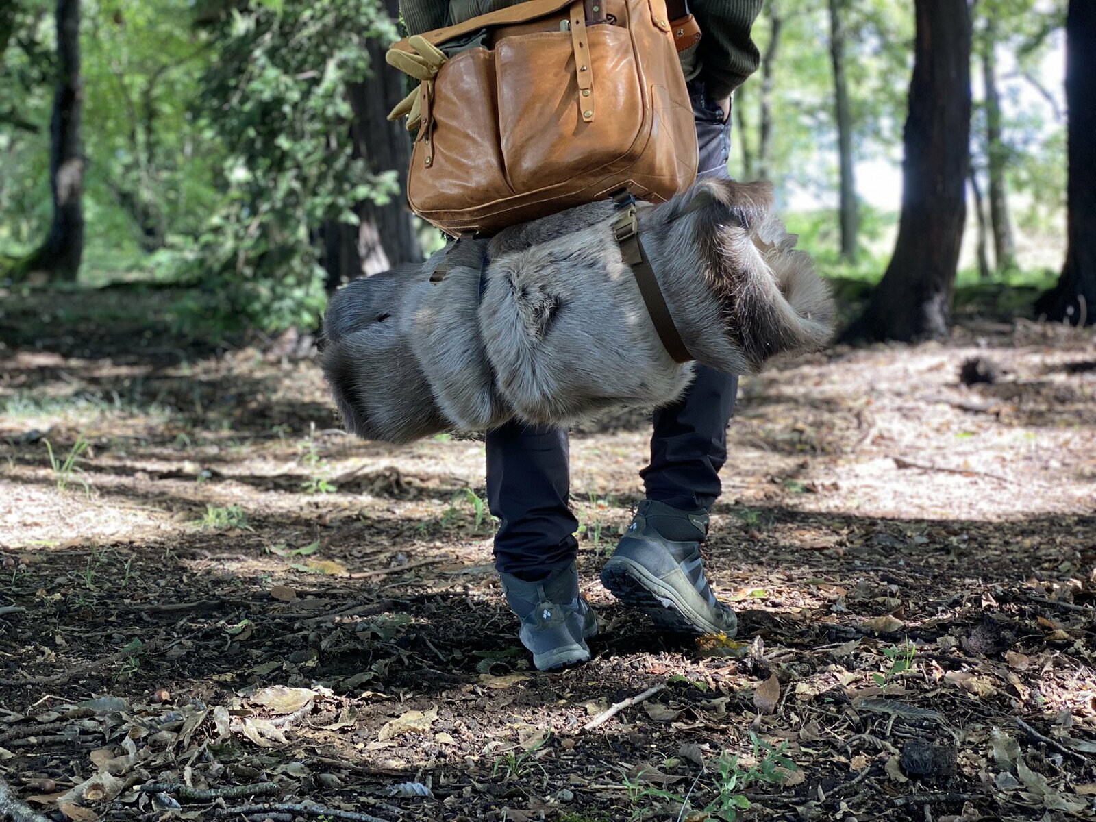 楽天市場】中サイズ/大サイズ/特大サイズ【フィンランド ラップランド