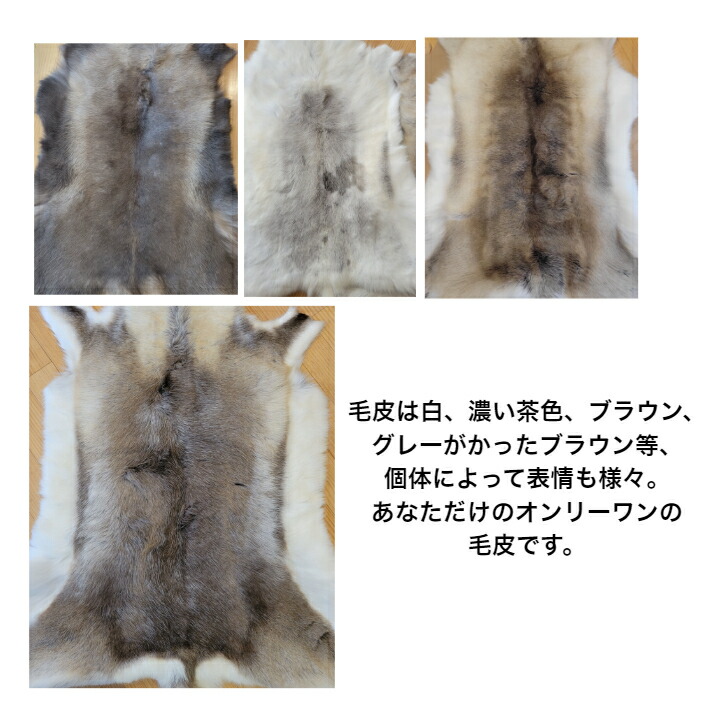 楽天市場】超特大サイズ【フィンランド ラップランド製】高級 トナカイ