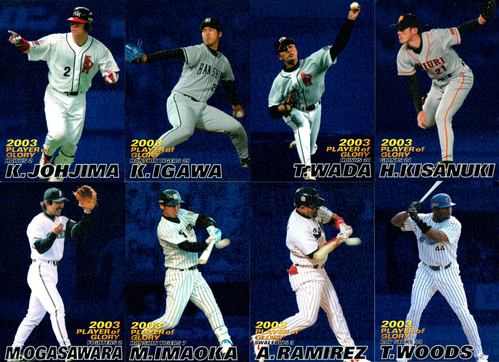 プロ野球チップスカード　2004 【抽選当選品・レア】3種類コンプリート‼️ プロ野球チップスカード 2004 【抽選当選品・レア】3種類コンプリート