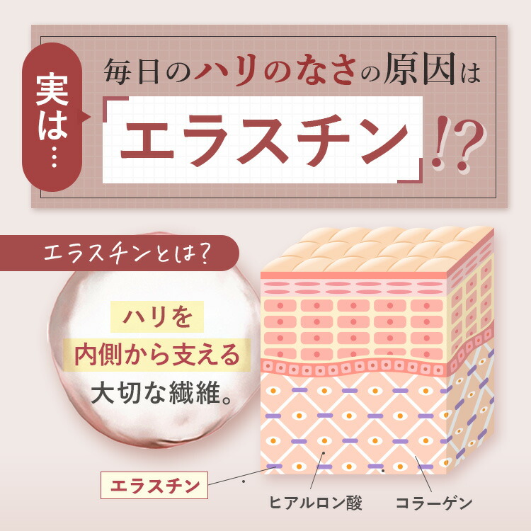 楽天市場】【公式】 cellnote. BV LINE supplement+ Premium