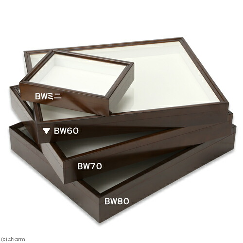 中古ドイツ箱標本箱大(510x418mm) 60mm厚 code0906a&b