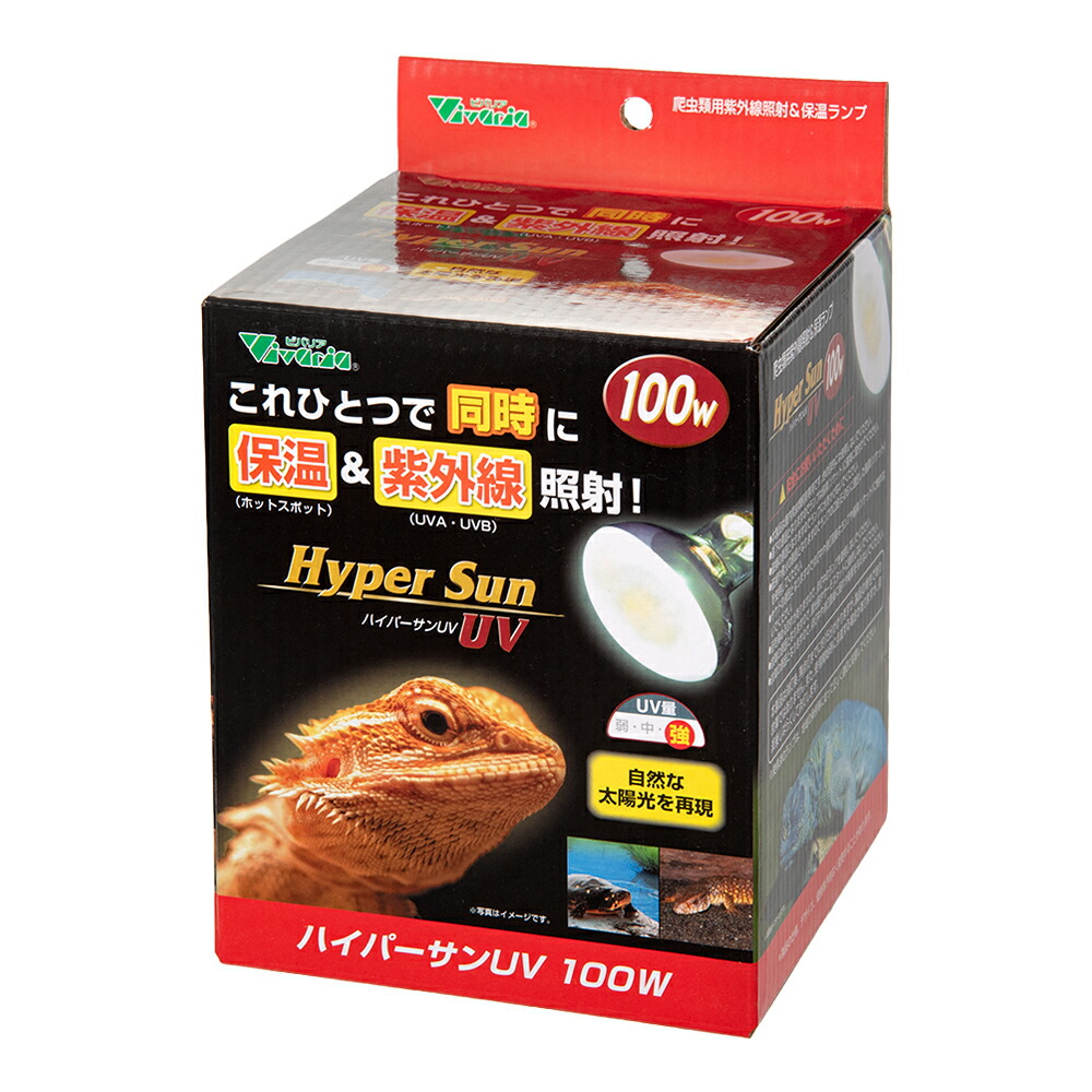 楽天市場】【3／1限定】当選確率2分の1！1等最大100