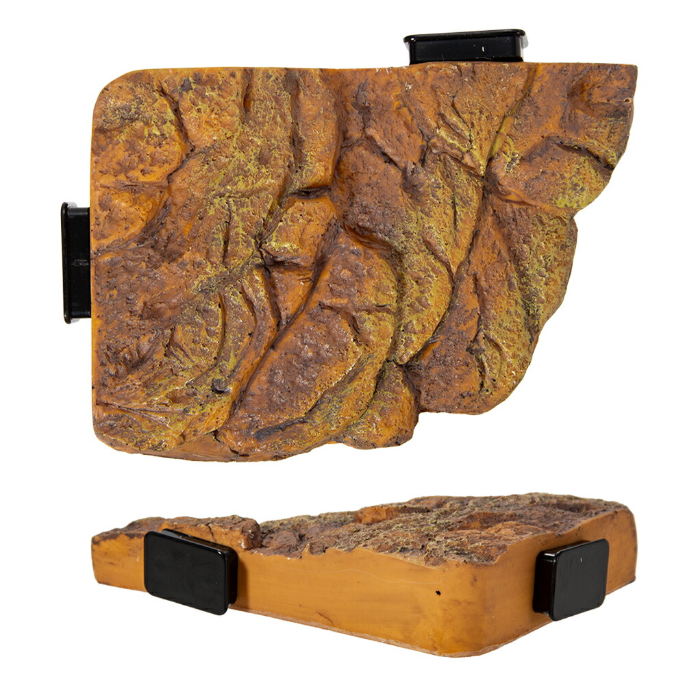 楽天市場】GEX エキゾテラ タートルバンク S 亀 浮島 関東当日便