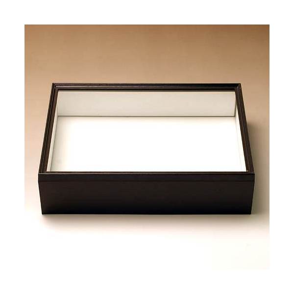 小型標本箱　6箱 Amazon.co.jp: 【UVカット】小型ドイツ型標本箱（黒） : おもちゃ