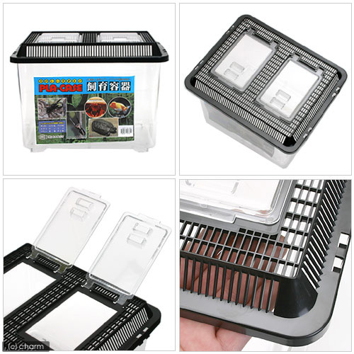 楽天市場】プラケース 飼育容器 特大M 黒（330×270×240mm