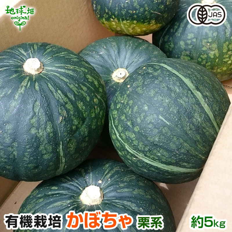 楽天市場】有機かぼちゃ 約5kg(2〜5玉) 鹿児島県産 宮崎県産 熊本県産