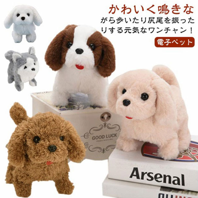 楽天市場】元気な仔犬 ワンちゃん トイプードル おしゃべり 歩く 動く