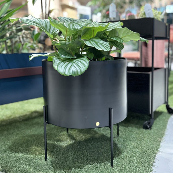 楽天市場】Hubsch(ヒュプシュ) エアリープランターラージ Φ42 ホワイト