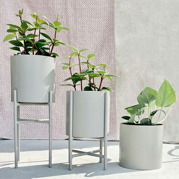 楽天市場】CLOVER(クローバー) アイアンプランターウィズスタンド Ф22