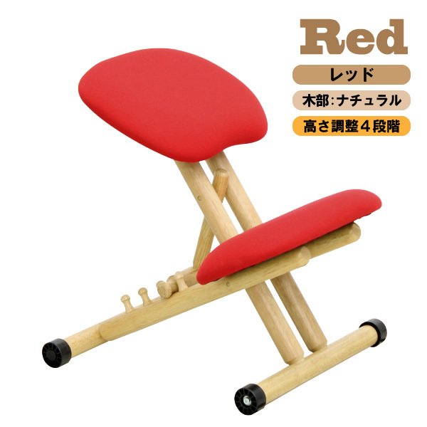 楽天市場】[最大400円OFFクーポン配布中] 【口コミプレゼント付】姿勢