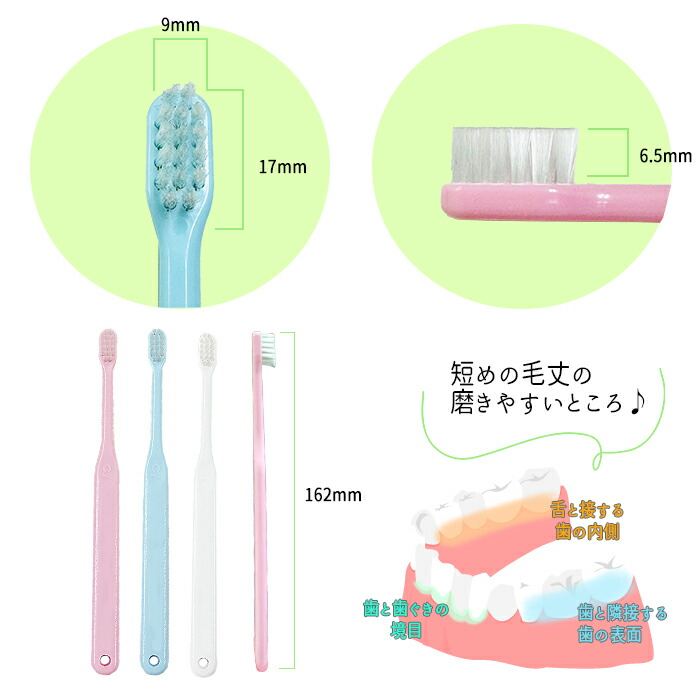 楽天市場】Ci 602/603 毛のかたさが選べる 仕上げ磨き用歯ブラシ 無地