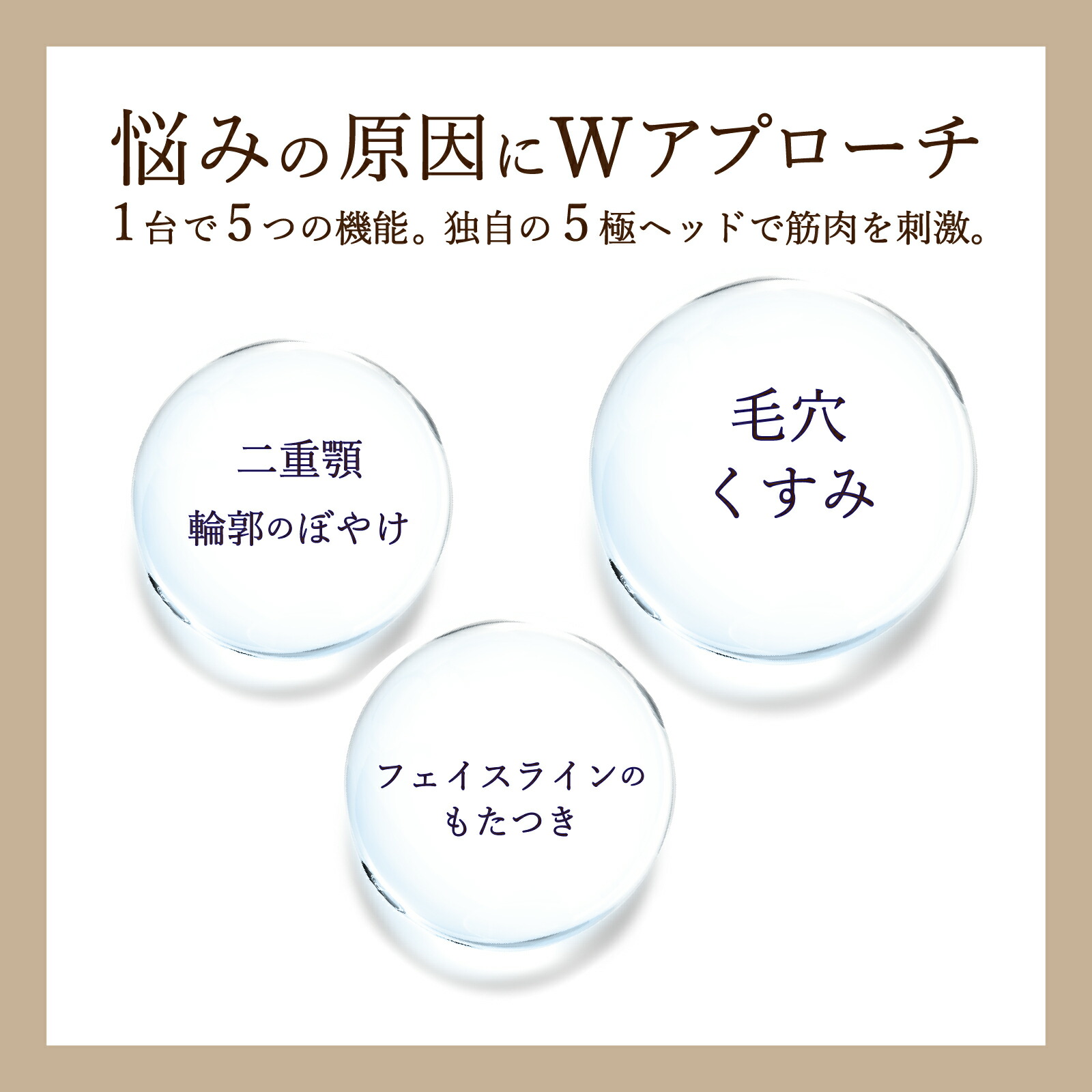 楽天市場】【クルールラボ公式】ZOGANKIN BLOOM（ゾーガンキン