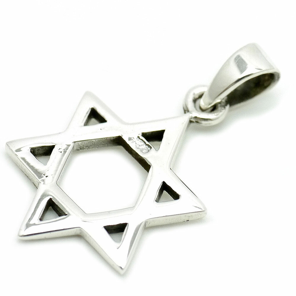楽天市場】シルバー925 六芒星 ペンダントトップ ネックレス メンズ mh