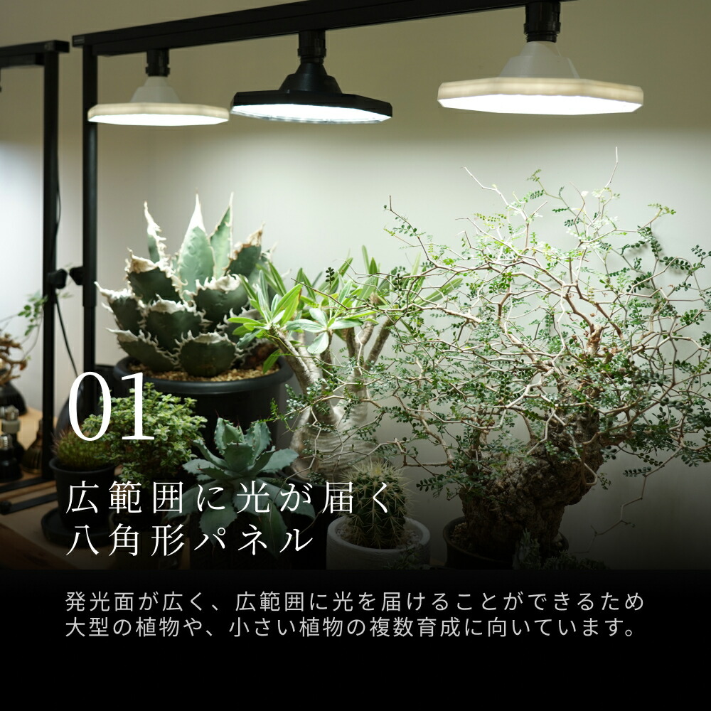 楽天市場】BARREL公式 植物育成 LEDパネルライト 【ROKI-Octagon-50W