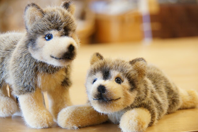 楽天市場】Kosen ケーセン ドイツ製 ぬいぐるみ オオカミの子（伏せ