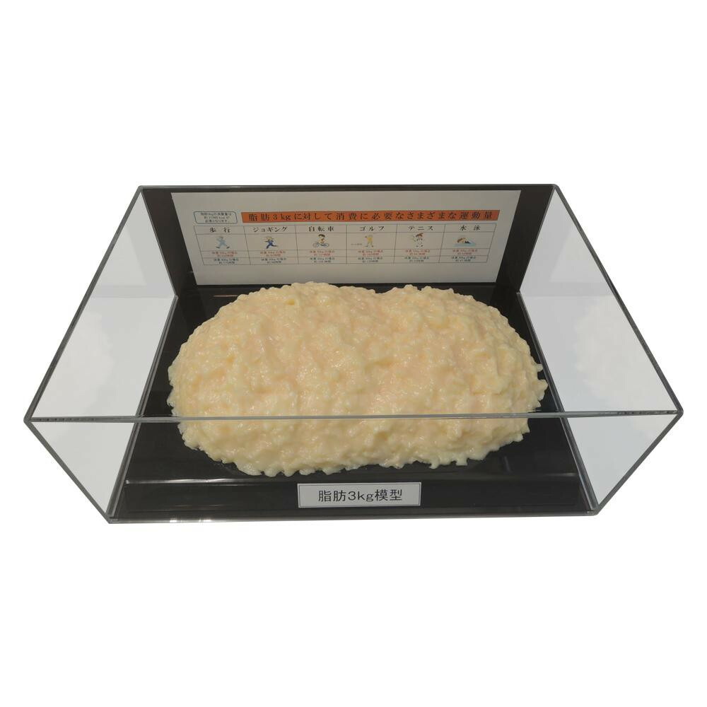 楽天市場】体脂肪 模型 3kgの通販