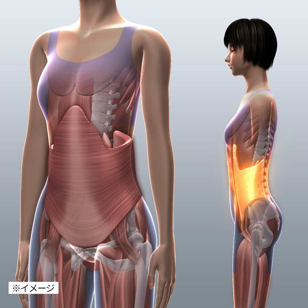 楽天市場】＼LINE友だち登録で200円オフクーポン／ エアプリエ DELUXE