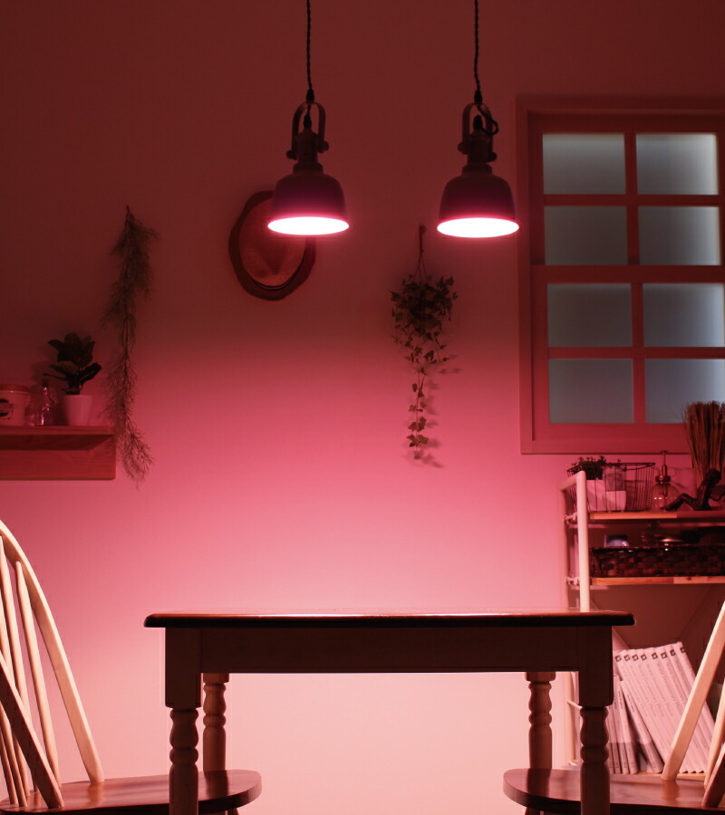 楽天市場】【販売期間前☆セール80%OFF】 ペンダントライト かわいい