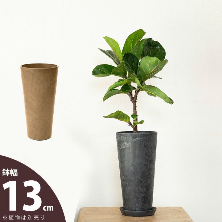 楽天市場】軽くて、値段の割に高級感もある、スタイリッシュ縦長鉢