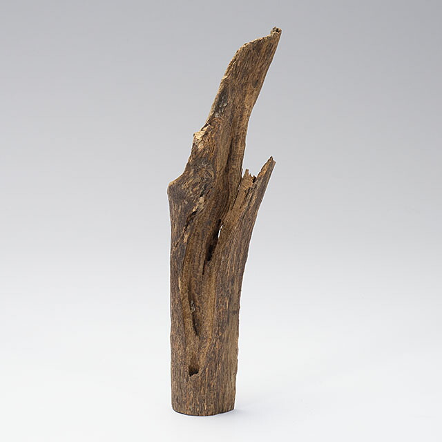 楽天市場】プレミアム沈香(じんこう) 原木姿物 六国「寸門多羅(すも