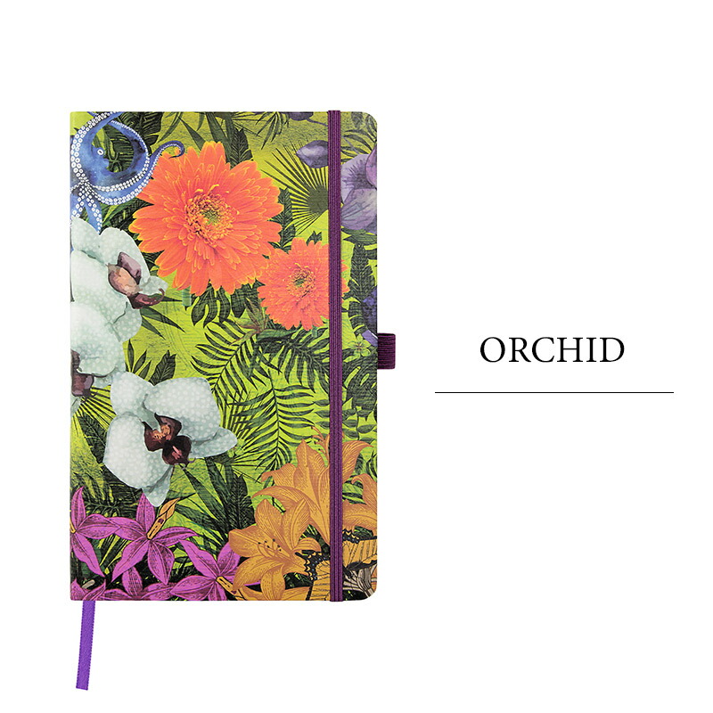 楽天市場】【メール便可 2冊まで】カステリ ミラノエデン ノートM 7mm