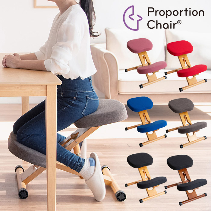 楽天市場】《宮武製作所》 プロポーションチェア 椅子 姿勢 チェア