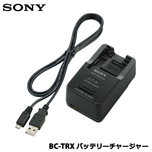 楽天市場】dsc－rx100m3 充電器の通販