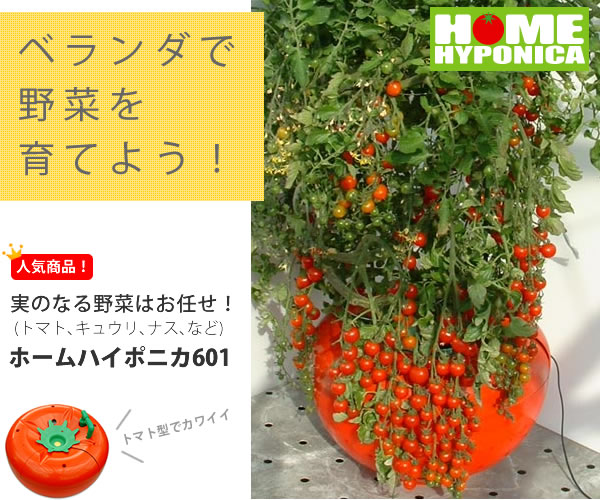 楽天市場】【販売終了】水耕栽培キット ホームハイポニカ601