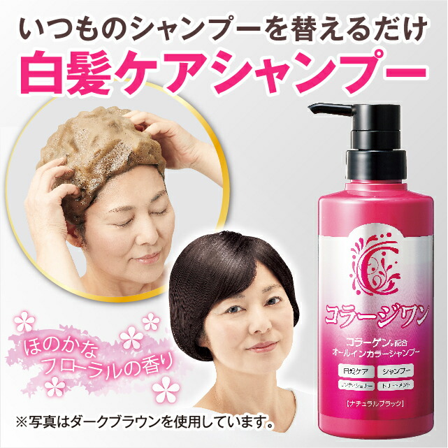 楽天市場】【2個セット 送料無料】 コラージワン オールインカラー