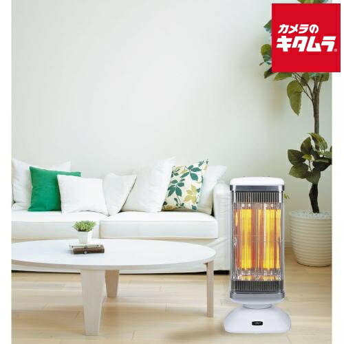 楽天市場】アラジン aeh-2g10の通販