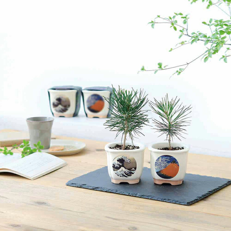 楽天市場】[最大250円OFFクーポン/新生活フェア] 【4種セット