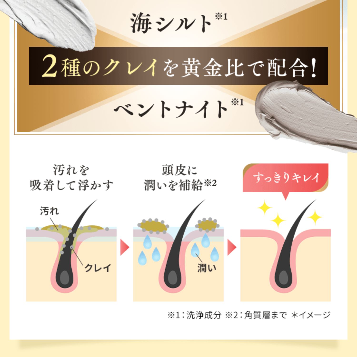 楽天市場】白髪染め YUSEEK ユーシーク クリームシャンプー 白髪