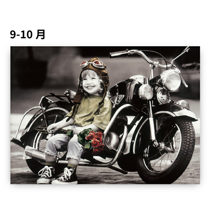 楽天市場】カレンダー 2026年 壁掛け リトルエンジェルス NK36 2026