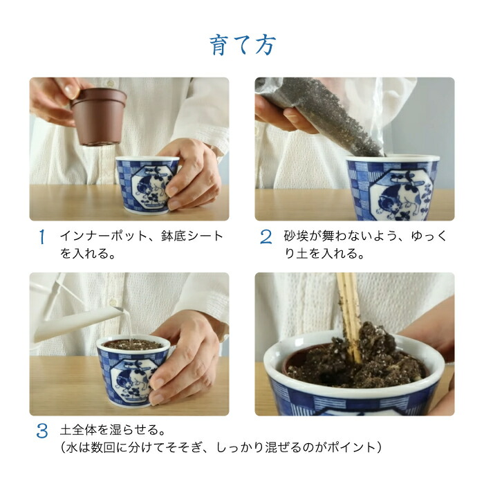 楽天市場】ハーブ栽培セット 染付小紋 草花BONSAI 盆栽風 藍色 陶磁器