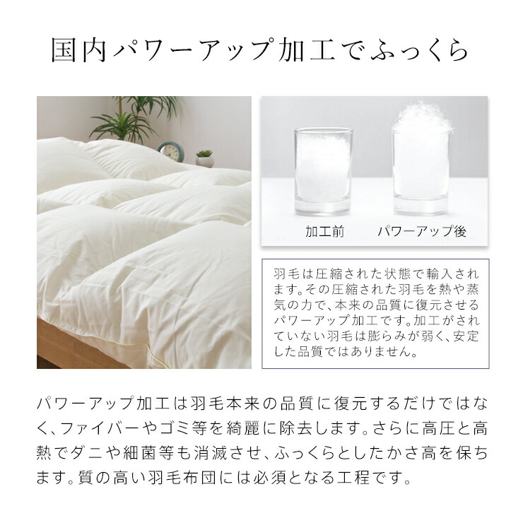 楽天市場】【3/1限定クーポンで11%OFF】羽毛布団 洗える シングル 冬用