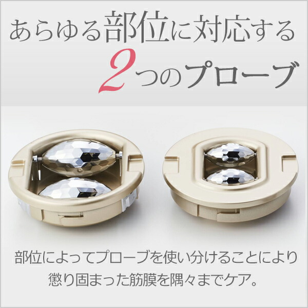 楽天市場】業務用 吸引ローラー LECELL レセルボディ シャンパン