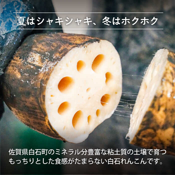 楽天市場】【ふるさと納税】【2026年1月以降発送】【農家直送