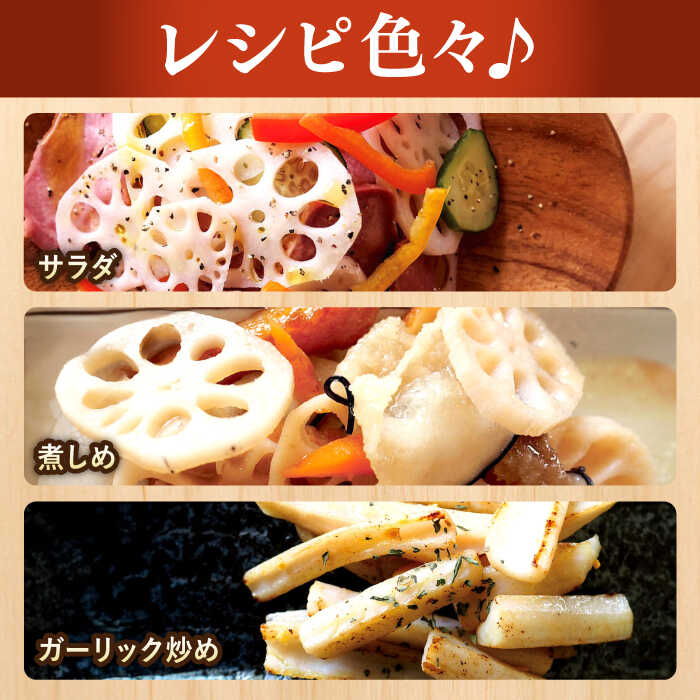 楽天市場】【ふるさと納税】幻の唐比れんこん 2kg / れんこん レンコン