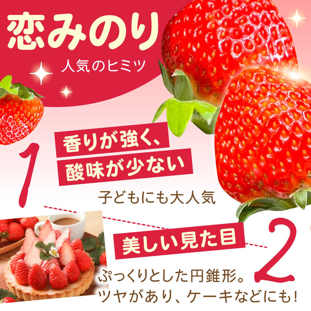 楽天市場】【ふるさと納税】【2026年3月 初回発送】【2回定期便】南島