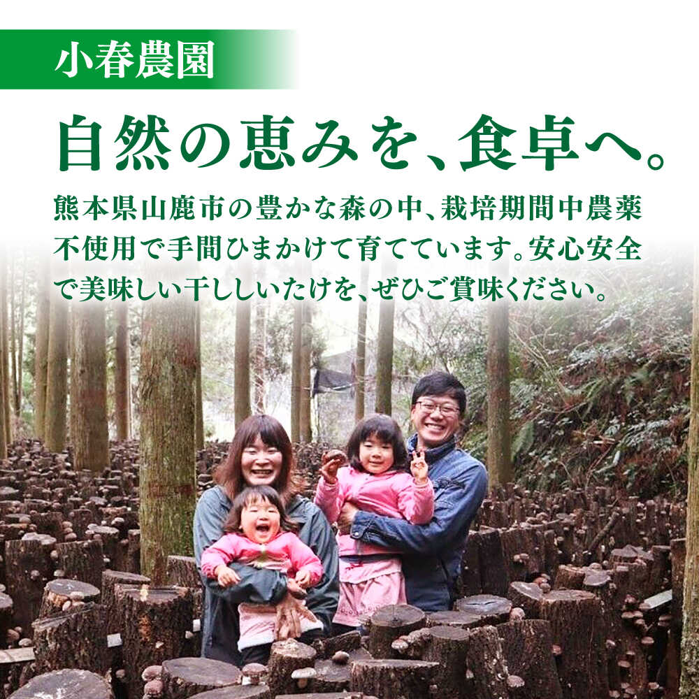 楽天市場】【ふるさと納税】＼レビューキャンペーン／ 原木 栽培 干し