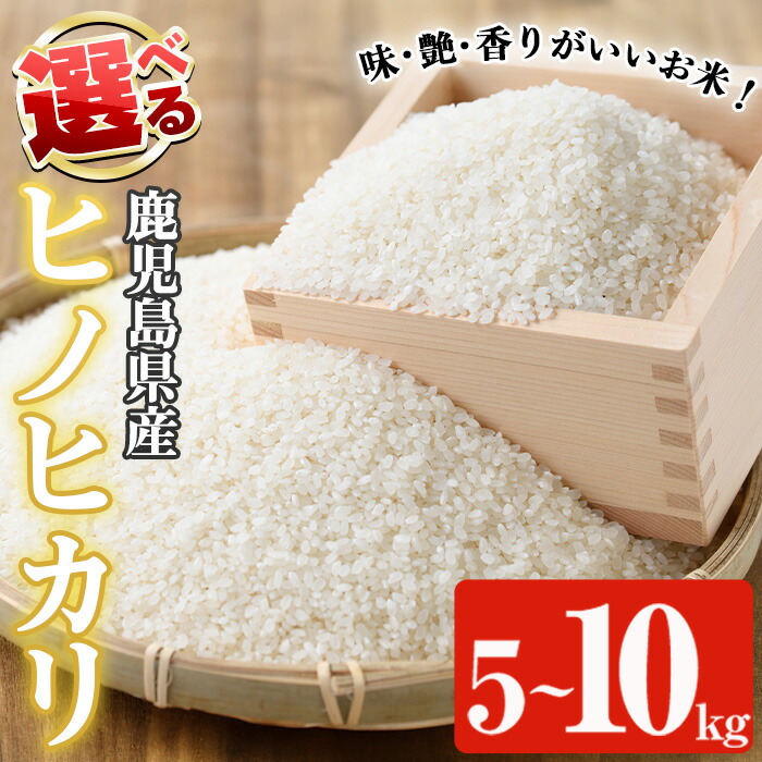 楽天市場】【ふるさと納税】＜内容量が選べる！＞数量限定！R6年産新米