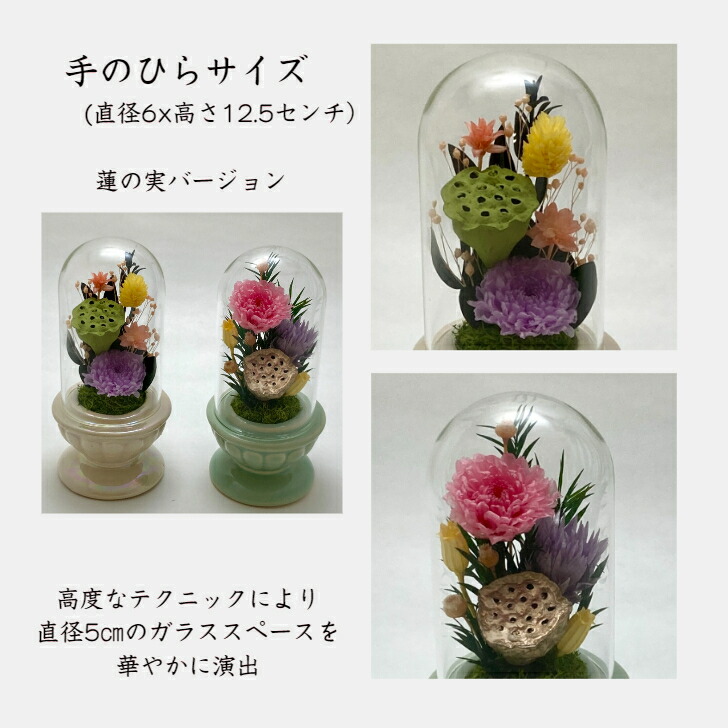 楽天市場】【プリザーブドフラワー仏花 蓮の実入り】 ミニミニ ガラス