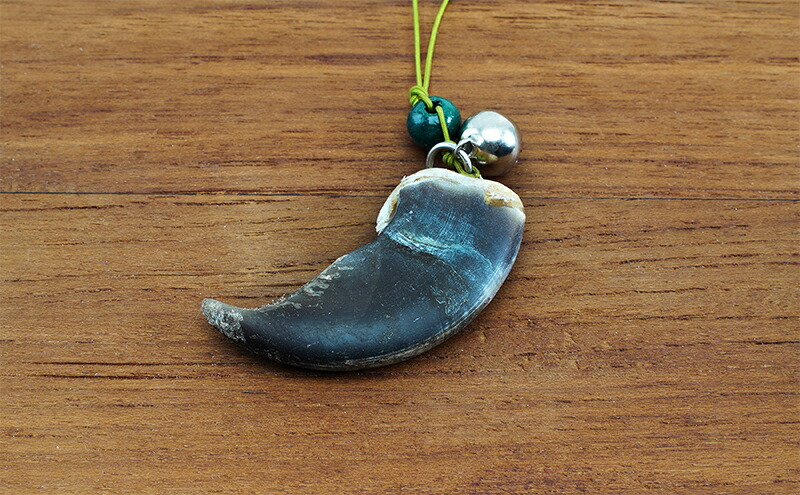 楽天市場】【ふるさと納税】北海道枝幸産 ヒグマの爪ストラップ 4.5cm