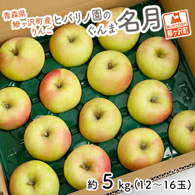 楽天市場】【ふるさと納税】りんご 青森 ぐんま名月 リンゴ 約 5kg (12