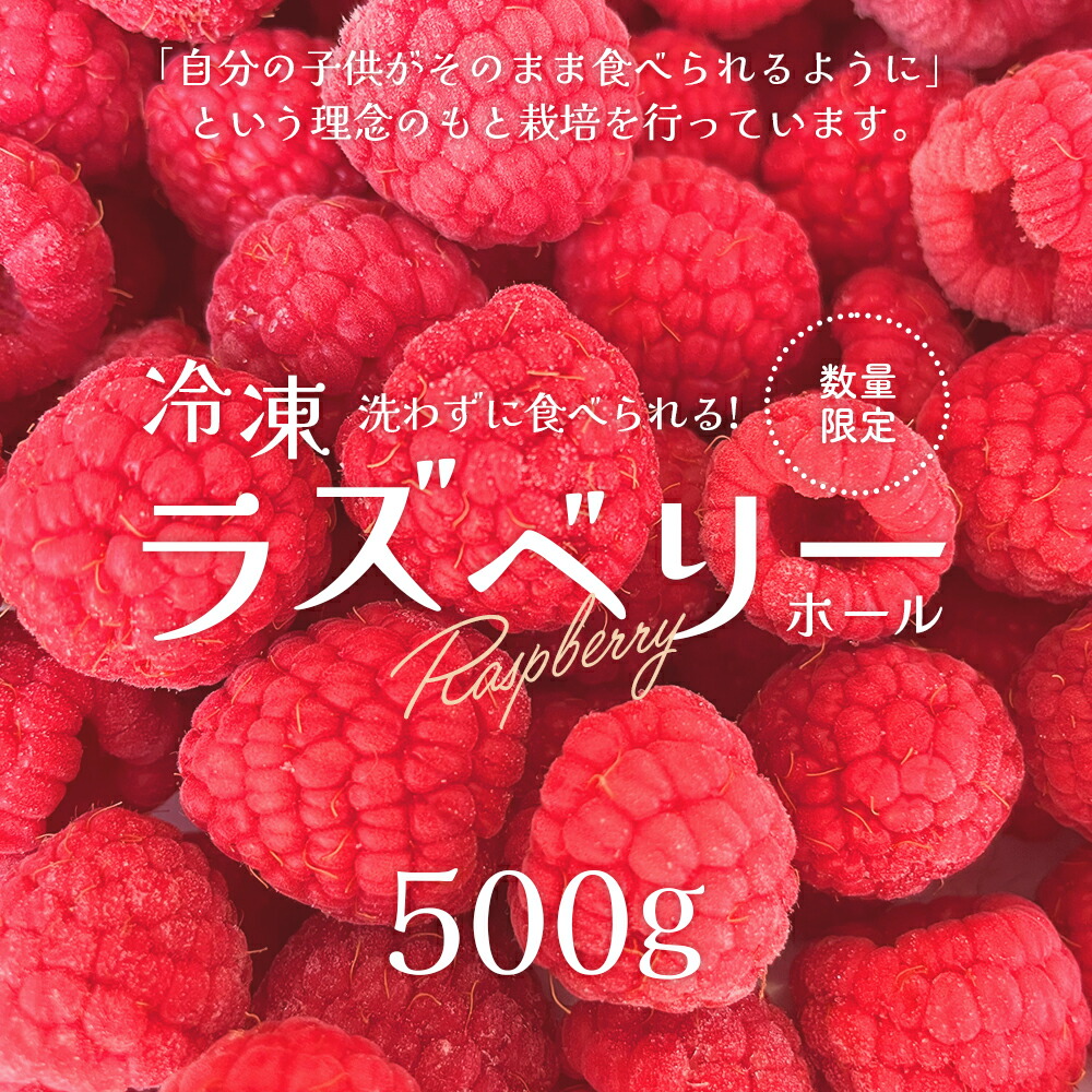 楽天市場】【ふるさと納税】冷凍ラズベリー（ホール）500g 【85P3402