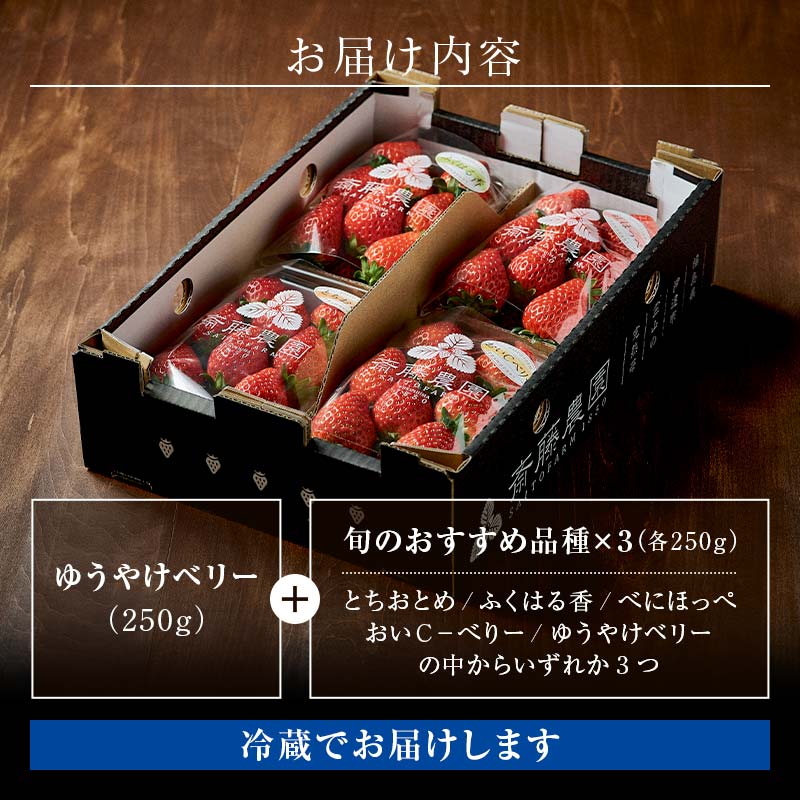 楽天市場】【ふるさと納税】＜2026年発送＞完熟 いちご 贅沢食べ比べ 4