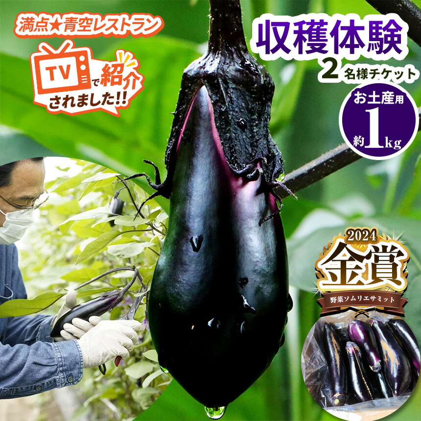 楽天市場】【ふるさと納税】ナスの収穫体験チケット2名様｜ 野菜 ナス