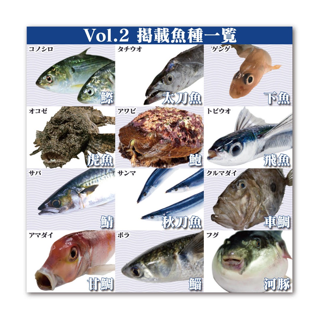 楽天市場】【ふるさと納税】＼選べる種類／Fのさかなおもしろ図鑑vol.1