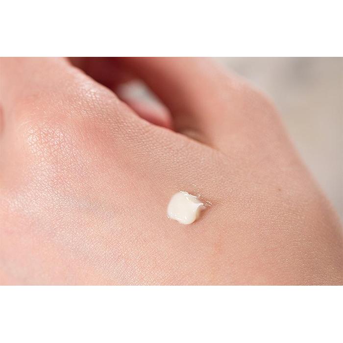 楽天市場】【ふるさと納税】プリエクラ リンクルクリーム E 25g スギ