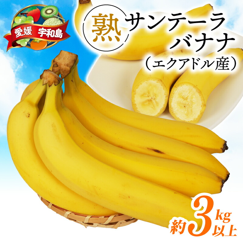楽天市場】【ふるさと納税】 バナナ 熟サンテーラバナナ 計 約3kg